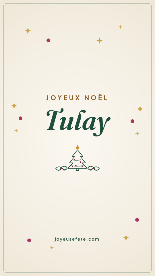 Image « Joyeux Noël Tulay » au format story