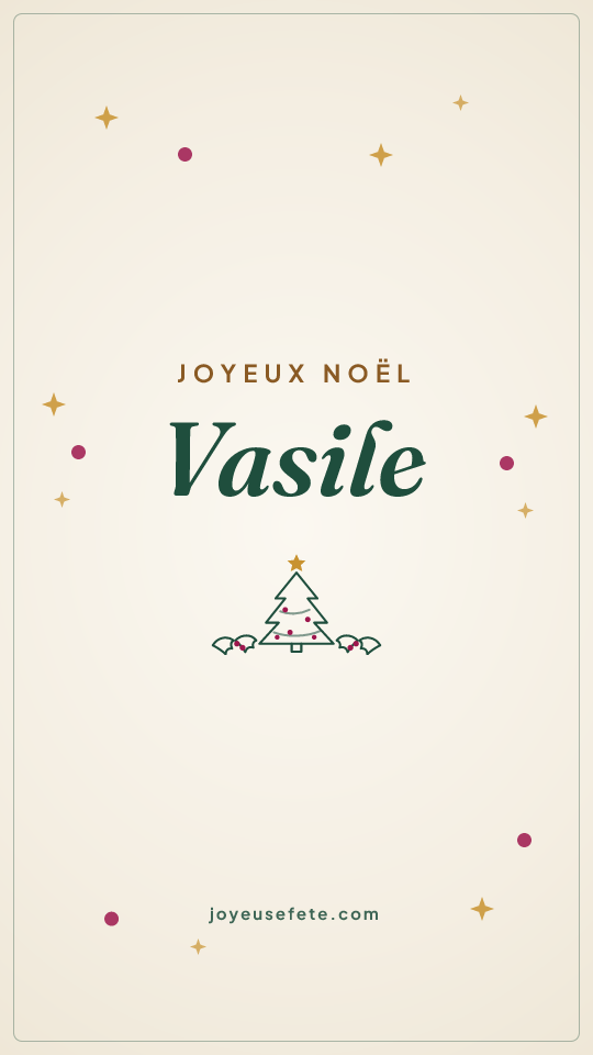 Image « Joyeux Noël Vasile » au format story