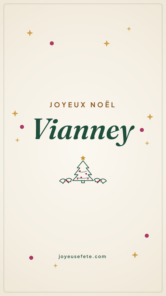 Image « Joyeux Noël Vianney » au format story