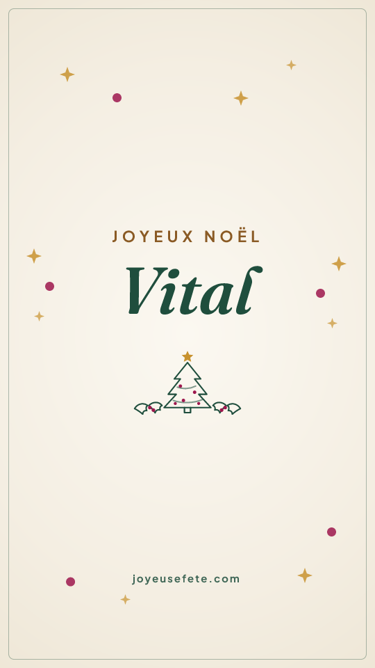 Image « Joyeux Noël Vital » au format story
