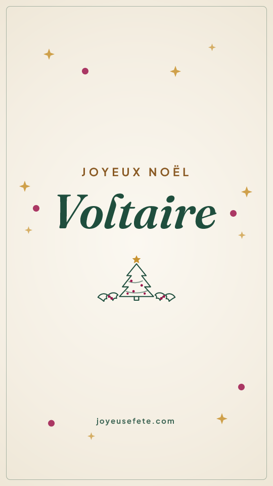 Image « Joyeux Noël Voltaire » au format story