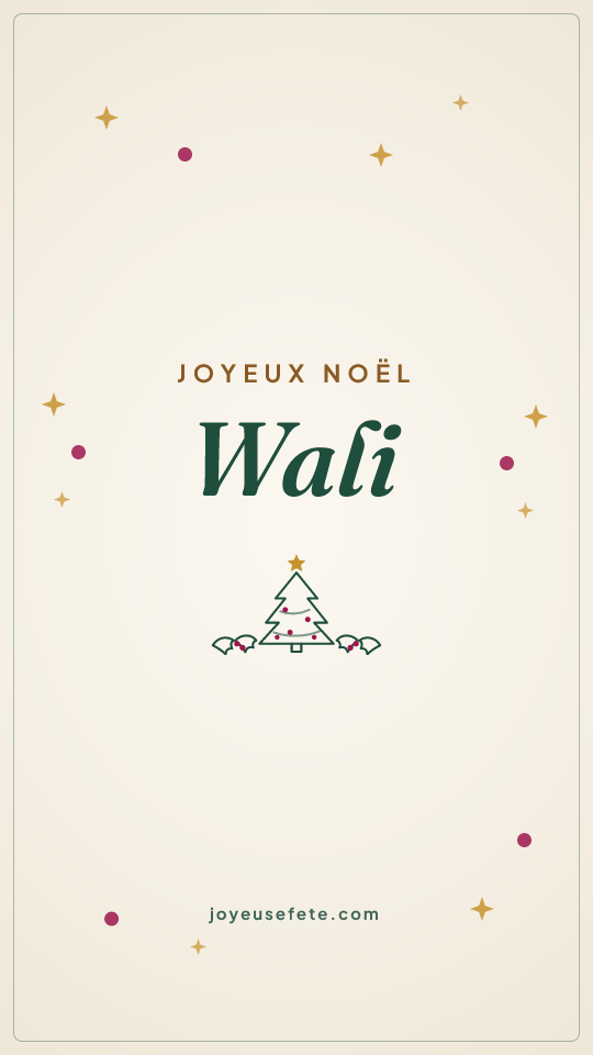 Image « Joyeux Noël Wali » au format story