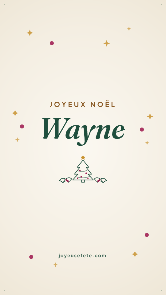 Image « Joyeux Noël Wayne » au format story