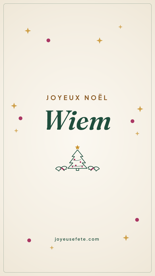 Image « Joyeux Noël Wiem » au format story