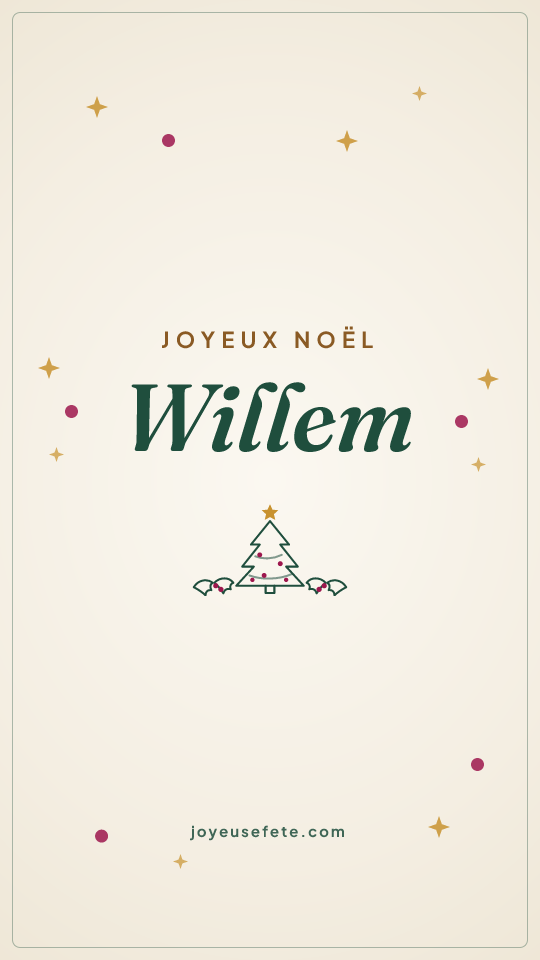 Image « Joyeux Noël Willem » au format story