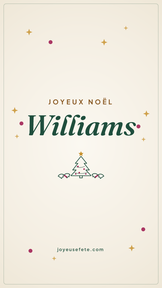 Image « Joyeux Noël Williams » au format story