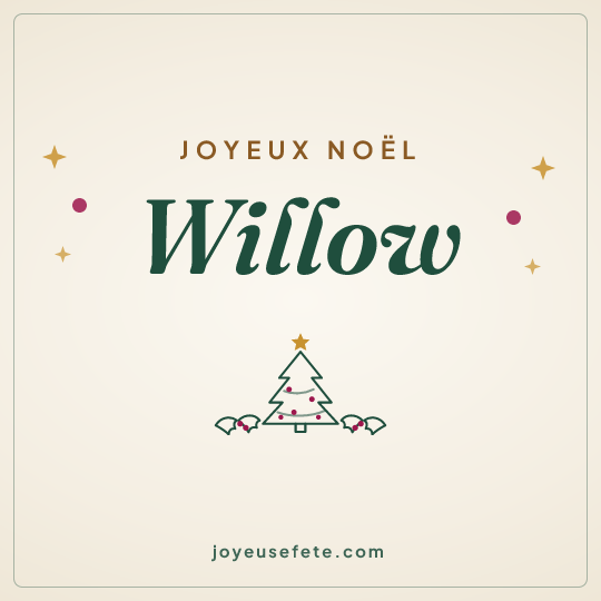 Image carrée « Joyeux Noël Willow » pour WhatsApp