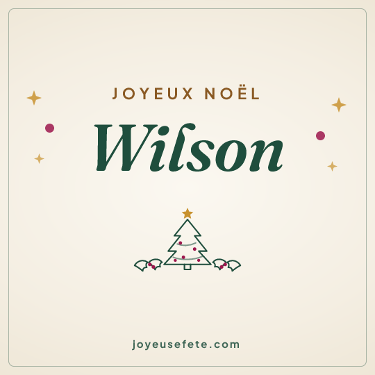 Image carrée « Joyeux Noël Wilson » pour WhatsApp