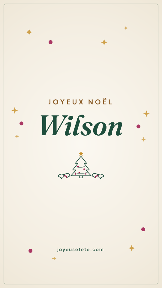Image « Joyeux Noël Wilson » au format story
