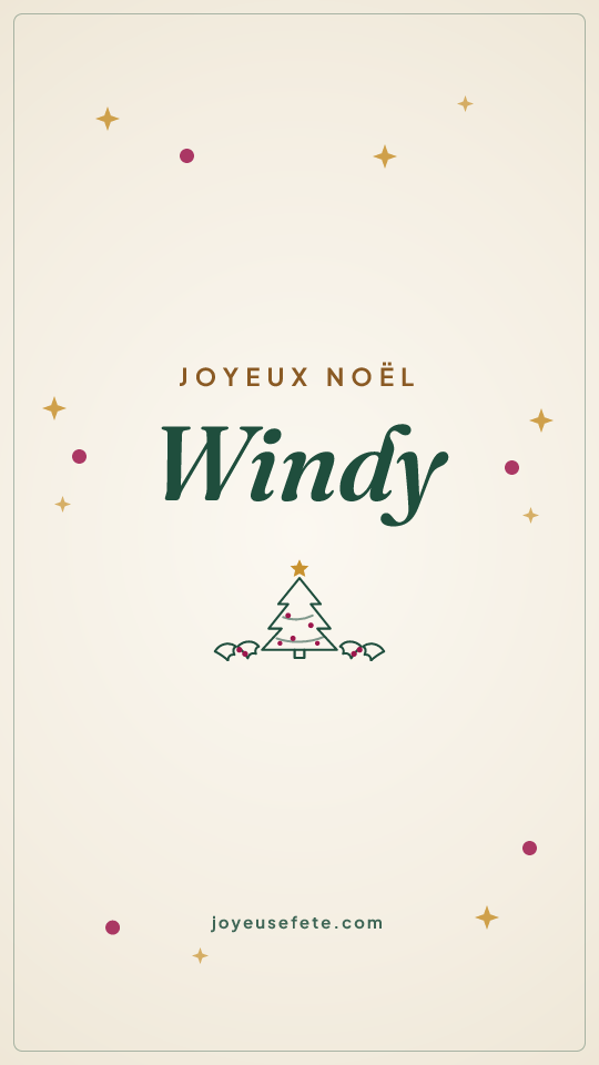 Image « Joyeux Noël Windy » au format story
