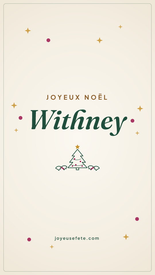 Image « Joyeux Noël Withney » au format story