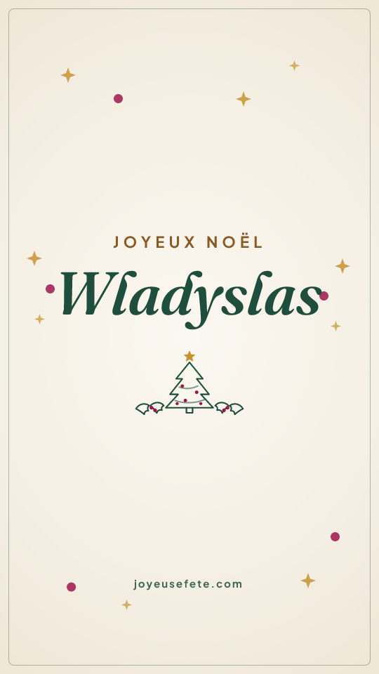Image « Joyeux Noël Wladyslas » au format story