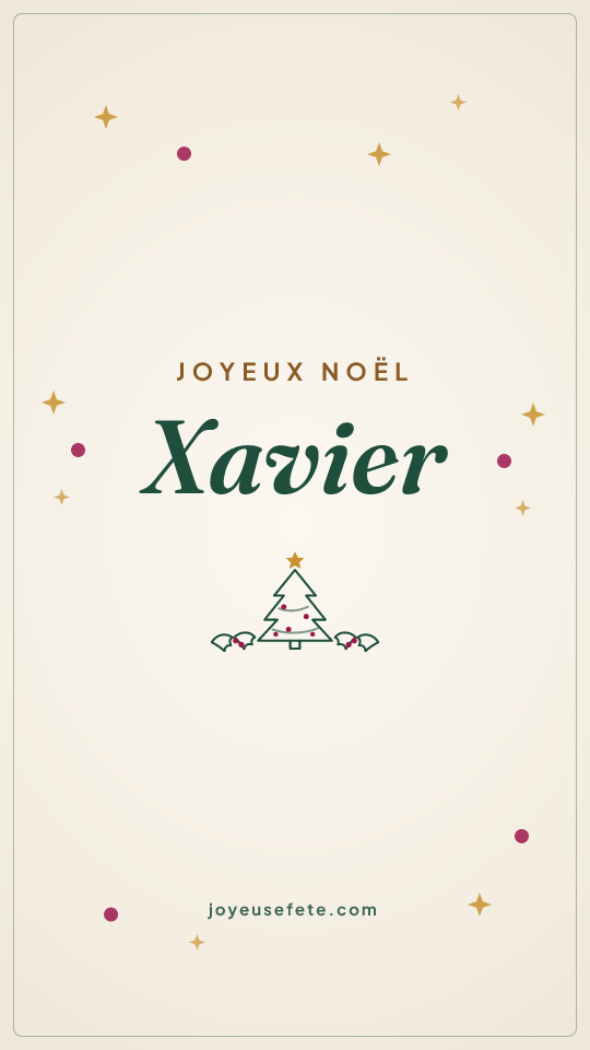 Image « Joyeux Noël Xavier » au format story