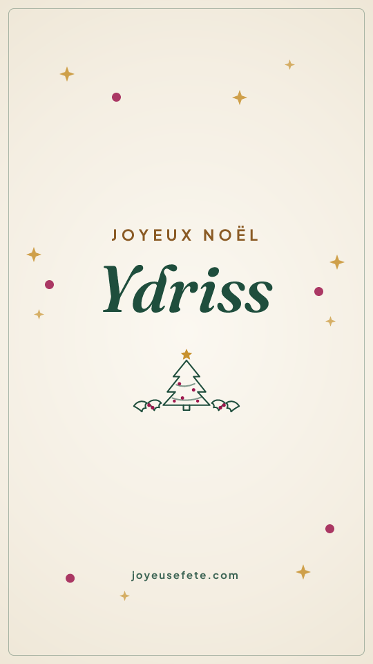 Image « Joyeux Noël Ydriss » au format story