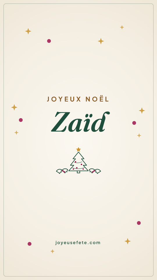 Image « Joyeux Noël Zaïd » au format story