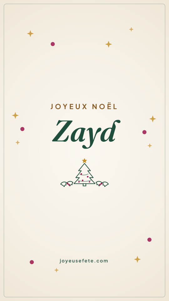 Image « Joyeux Noël Zayd » au format story