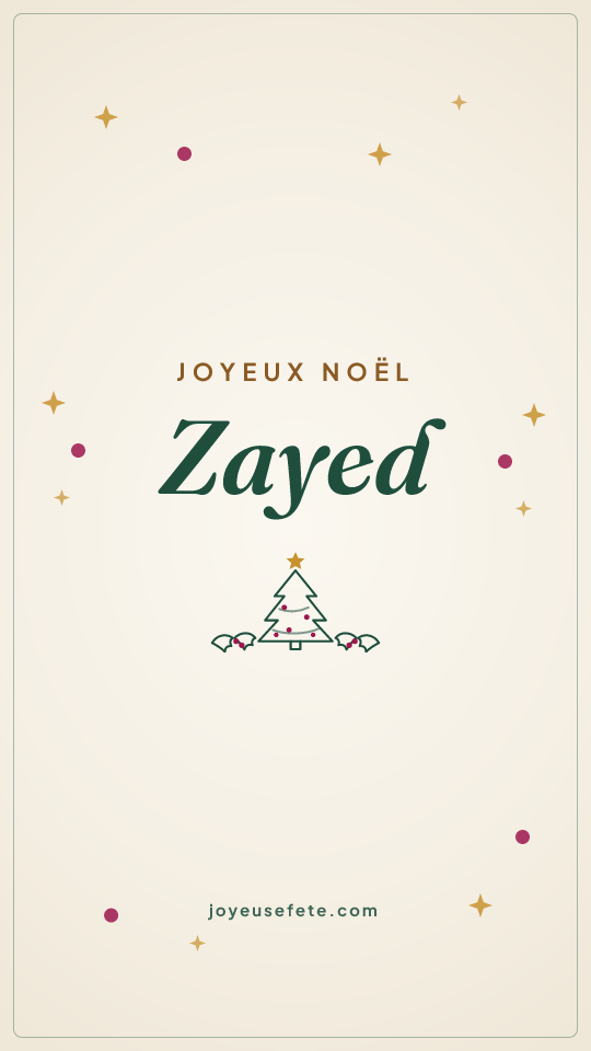 Image « Joyeux Noël Zayed » au format story