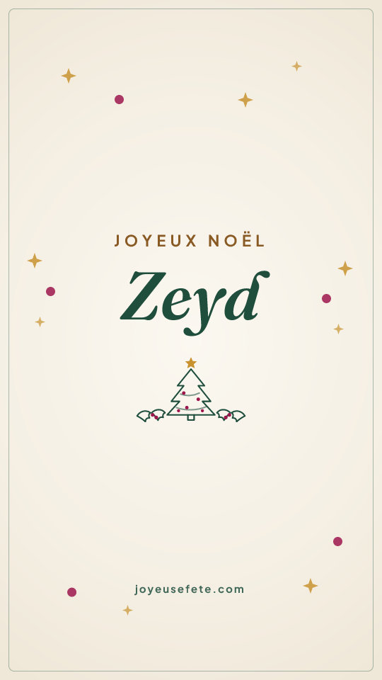 Image « Joyeux Noël Zeyd » au format story