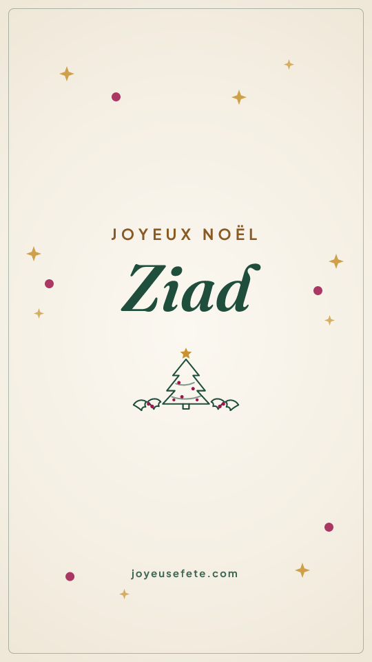 Image « Joyeux Noël Ziad » au format story