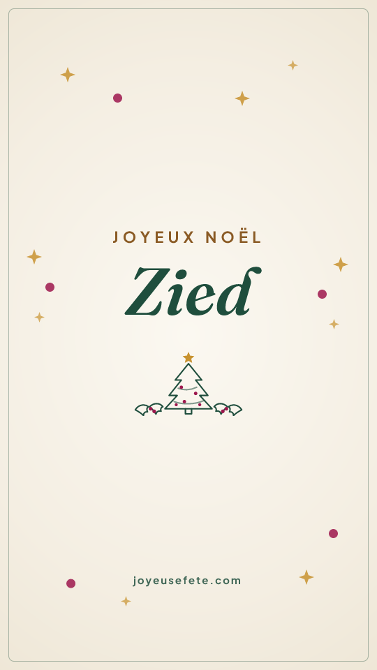 Image « Joyeux Noël Zied » au format story