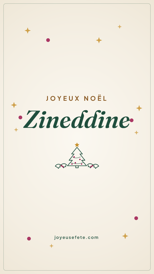 Image « Joyeux Noël Zineddine » au format story