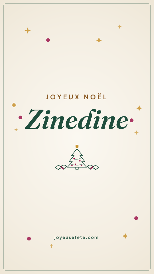 Image « Joyeux Noël Zinedine » au format story