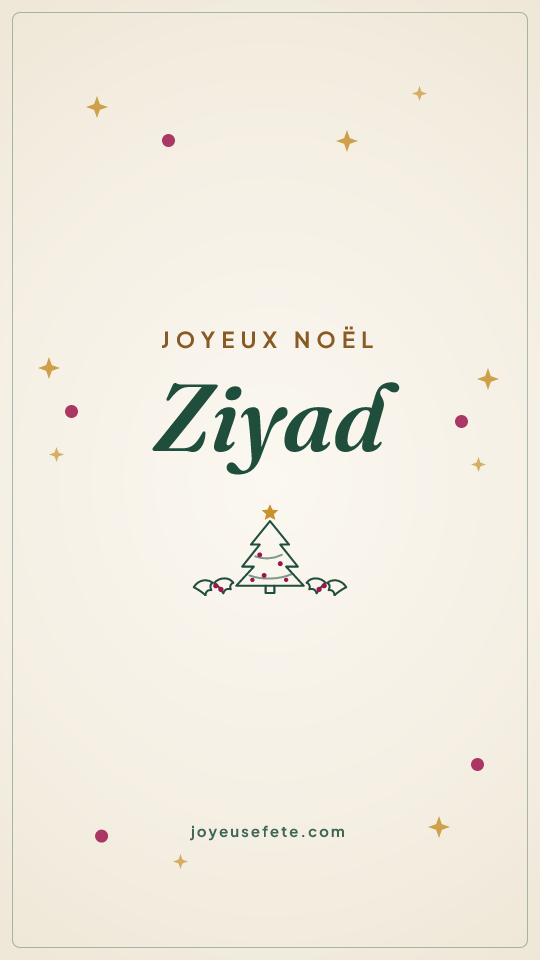 Image « Joyeux Noël Ziyad » au format story