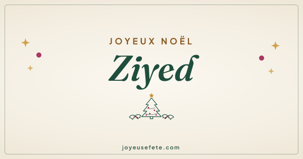 Image « Joyeux Noël Ziyed » au format large