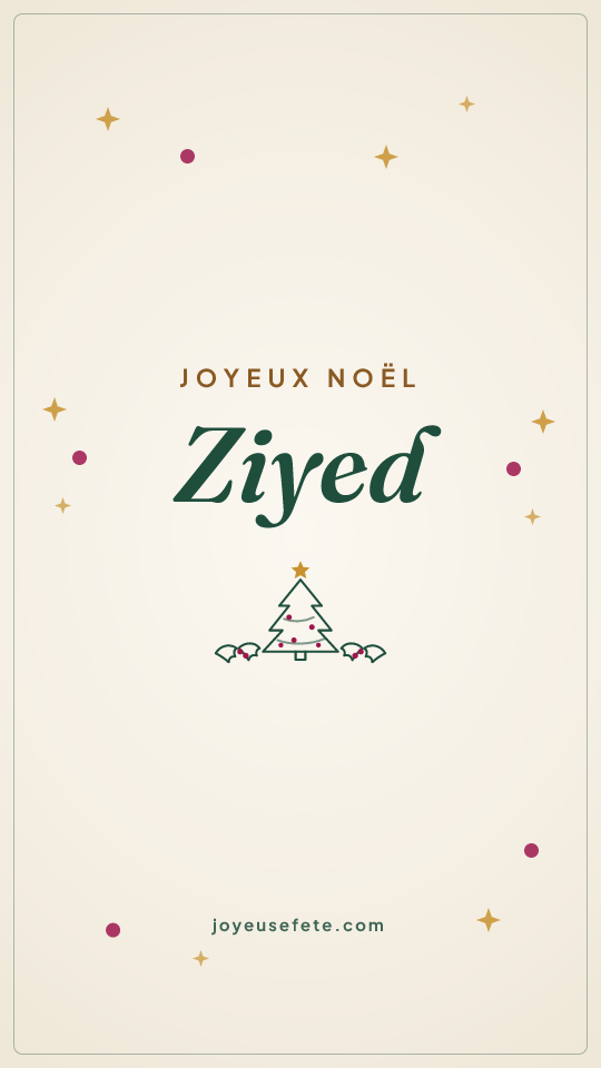 Image « Joyeux Noël Ziyed » au format story