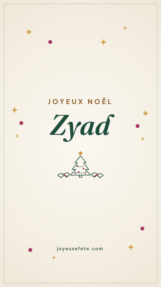Image « Joyeux Noël Zyad » au format story