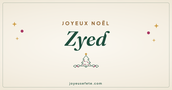 Image « Joyeux Noël Zyed » au format large