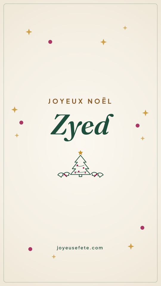 Image « Joyeux Noël Zyed » au format story