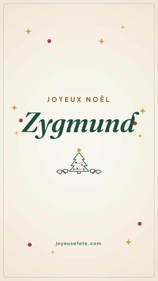 Image « Joyeux Noël Zygmund » au format story