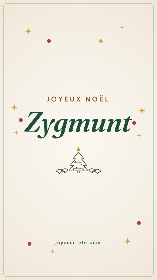 Image « Joyeux Noël Zygmunt » au format story